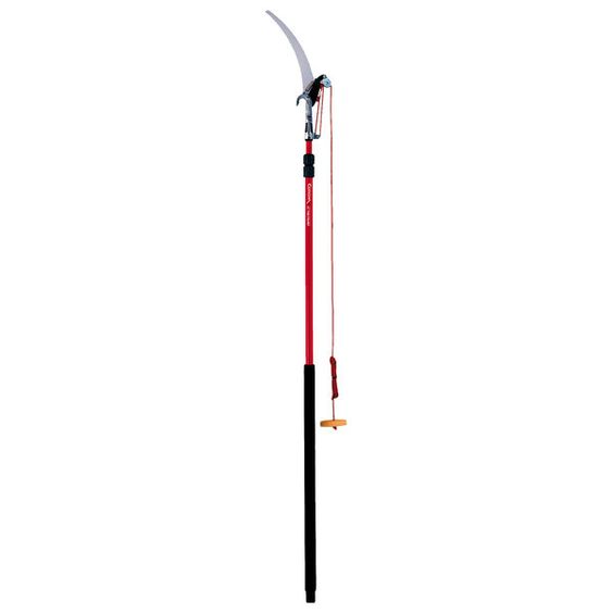 Tree Pruner