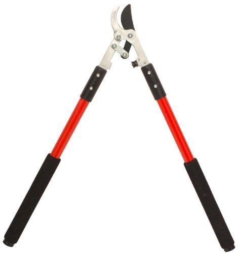 Loaping shear